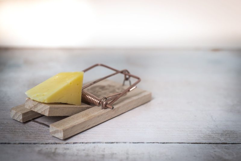 A wooden mousetrap baited with cheese